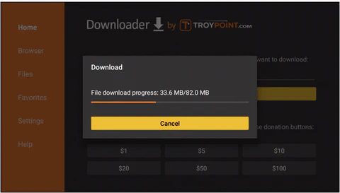 Paso 6: Introduce la URL de descarga